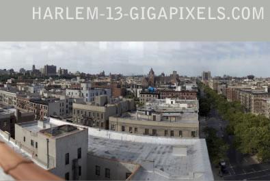 harlem.jpg