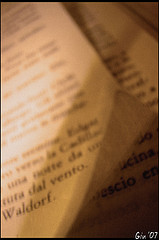 libro.jpg