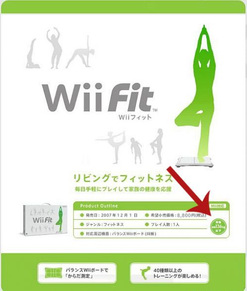 wiifit.jpg