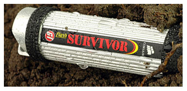 survivor.jpg