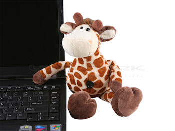 giraffeusbcam4.jpg