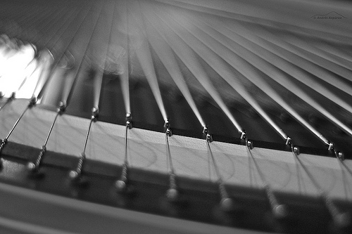 strings.jpg