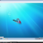 ie_win7