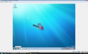 ie_win7