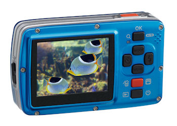 ap_dc_600uw_blue_slant_back_dl
