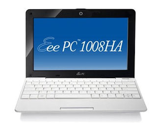 1008pcseashellc