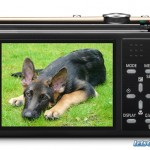 panasonic_dmc_fp8