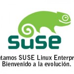 suse-11