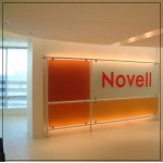novell-financial-results