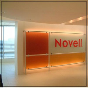 novell-financial-results