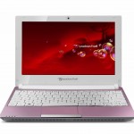 dot s pink 2