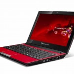 dot s red 2