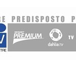 bollino_594