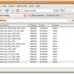 firefox_5_prestazioni_about_config