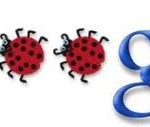 google+_bug