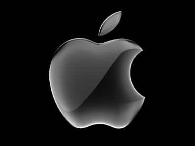 20100203apple