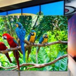 lg_tv_55_pollici_oled