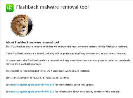 flashback_removal_tool