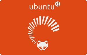 Ubuntu 13.04_Raring_Ringtail