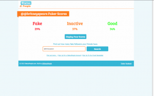 fakefollowers_twitter