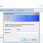 google chrome master password