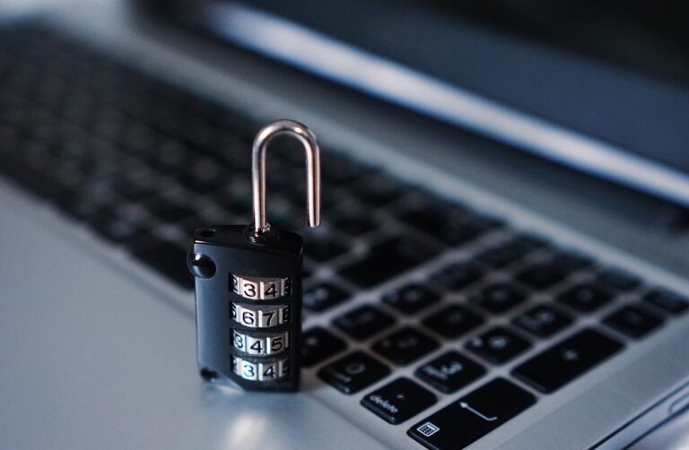 Sicurezza dei dati in ambienti remoti